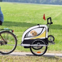 2in1 Kinderanhänger Fahrradanhänger Jogger Kinderfahrradanhänger