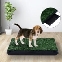 3tlg. Welpentoilette Hundetoilette Hundeklo 63x51cm