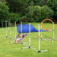 5-tlg. Hunde Agility Set Slalom Hürden Tunnel Sprungring