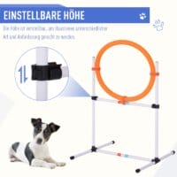 5-tlg. Hunde Agility Set Slalom Hürden Tunnel Sprungring