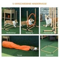 5-tlg. Hunde Agility Set Slalom Hürden Tunnel Sprungring