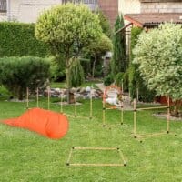 5-tlg. Hunde Agility Set Slalom Hürden Tunnel Sprungring