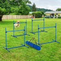 Agility Hürden und Slalom Set mit 4x Hürden