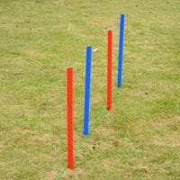 Agility Hundetrainingsset Slalom + Hürde + Sprungring inkl. Tasche