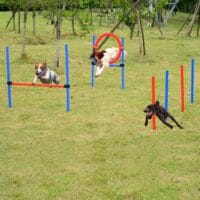 Agility Hundetrainingsset Slalom + Hürde + Sprungring inkl. Tasche