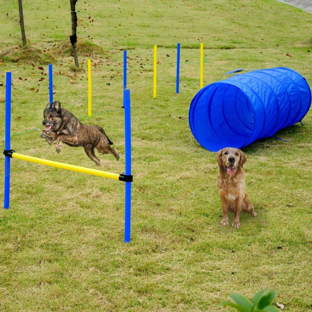 Agility Hundetrainingsset Tunnel + Slalom + Hürde inkl. Tasche