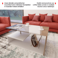 Couchtisch 90x50cm Modern mit Stauraum Weiss