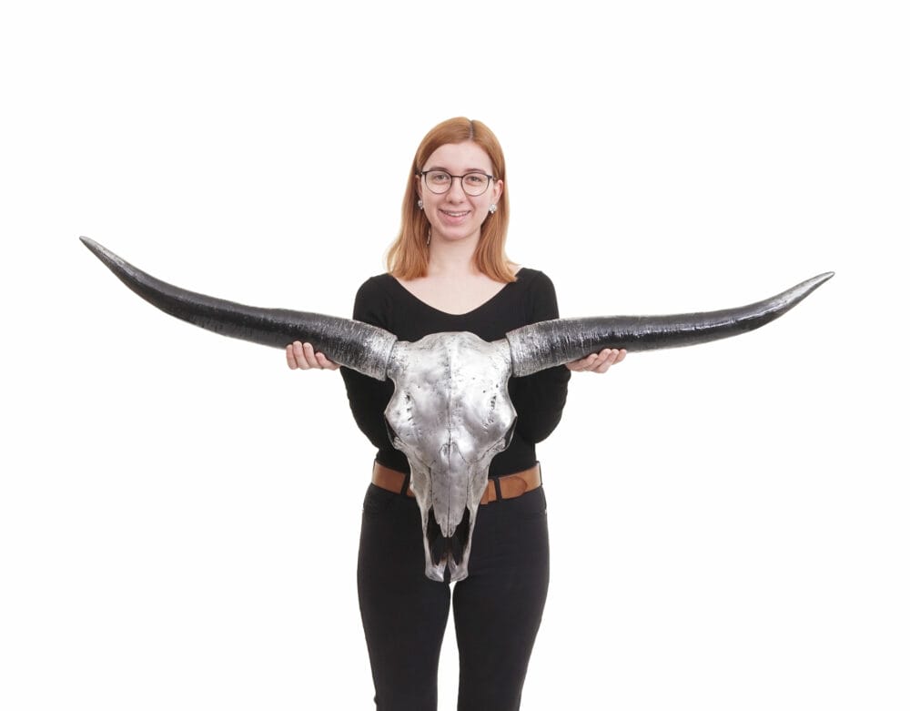 Deko Schädel Longhorn 132cm Kuhschädel Stierkopf Bulle