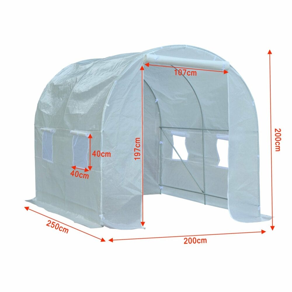 Foliengewächshaus Gewächshaus Folientunnel 250x200x200cm