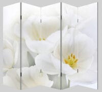 Foto-Paravent ~ 180x200cm Orchidee