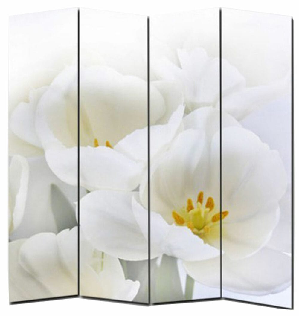 Foto Paravent Paravent Spanische Wand M68 ~ 180x160cm Orchidee