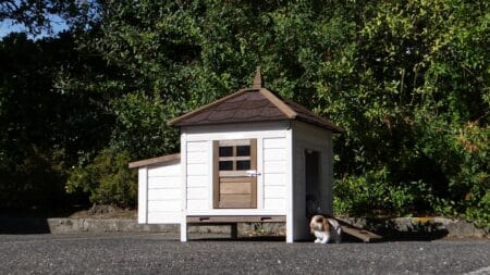 Hasenstall für 1-3 Kaninchen - Kaninchenstall Ambiance