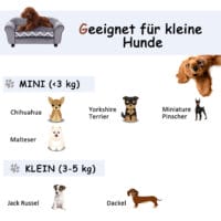 Haustiersofa Hundesofa Hundebett erhöhtes Katzensofa Samt Grau