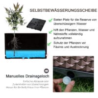 Hochbeet Tami 2-teiliger Pflanzkasten Blumenkasten 50x50x33cm
