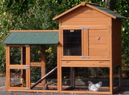 Hühnerstall 3-5 Hühner Prestige Medium