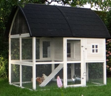 Hühnerstall 4-6 Hühner Kathedrale mit Stauraum