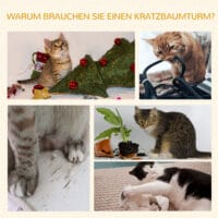 Katzenbaum Katzenspielturm Hängematte L40xB40xH132cm