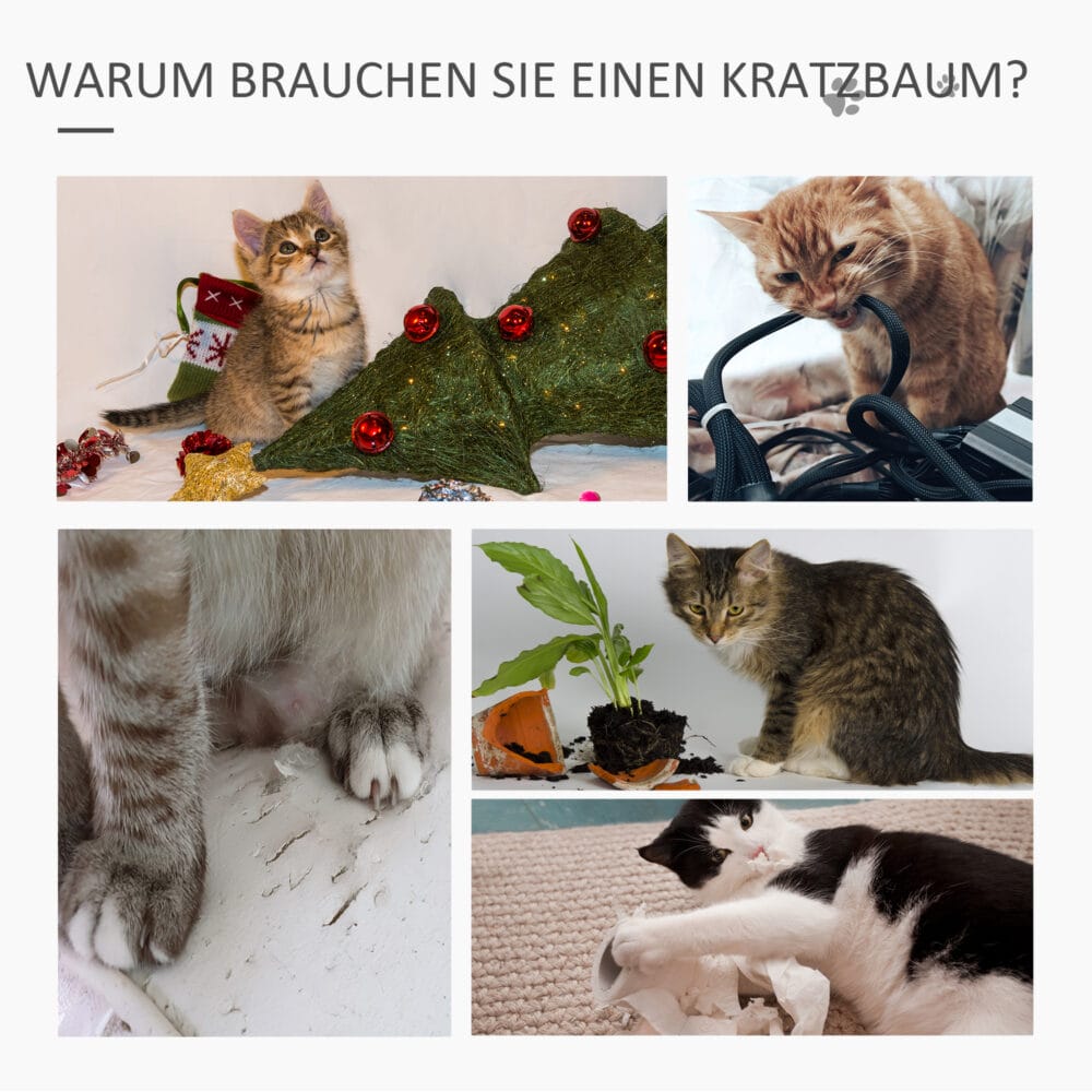 Katzenbaum Kratzbaum Ballspielzeug Sisal 108cm