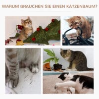 Katzenbaum mit Hängematte Sisalsäulen Grau Ø40xH65cm