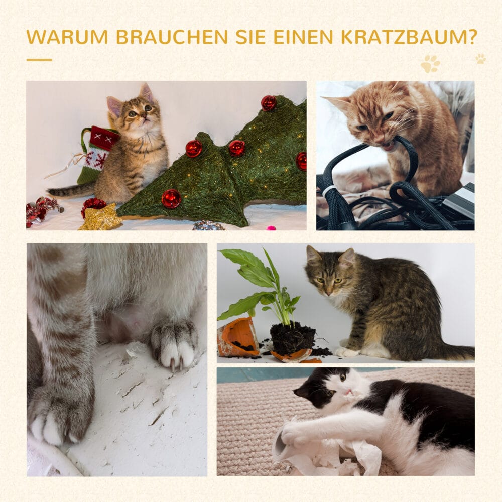 Kletterbaum Katzenbaum Spielbaum 48x48x99.5cm