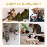 Kratzbaum Katzenbaum Deckenhoch 50x50x232-252cm