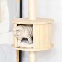 Kratzbaum Katzenbaum Deckenhoch 50x50x232-252cm