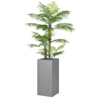 Pflanzkübel Blumentopf 34x34x76cm