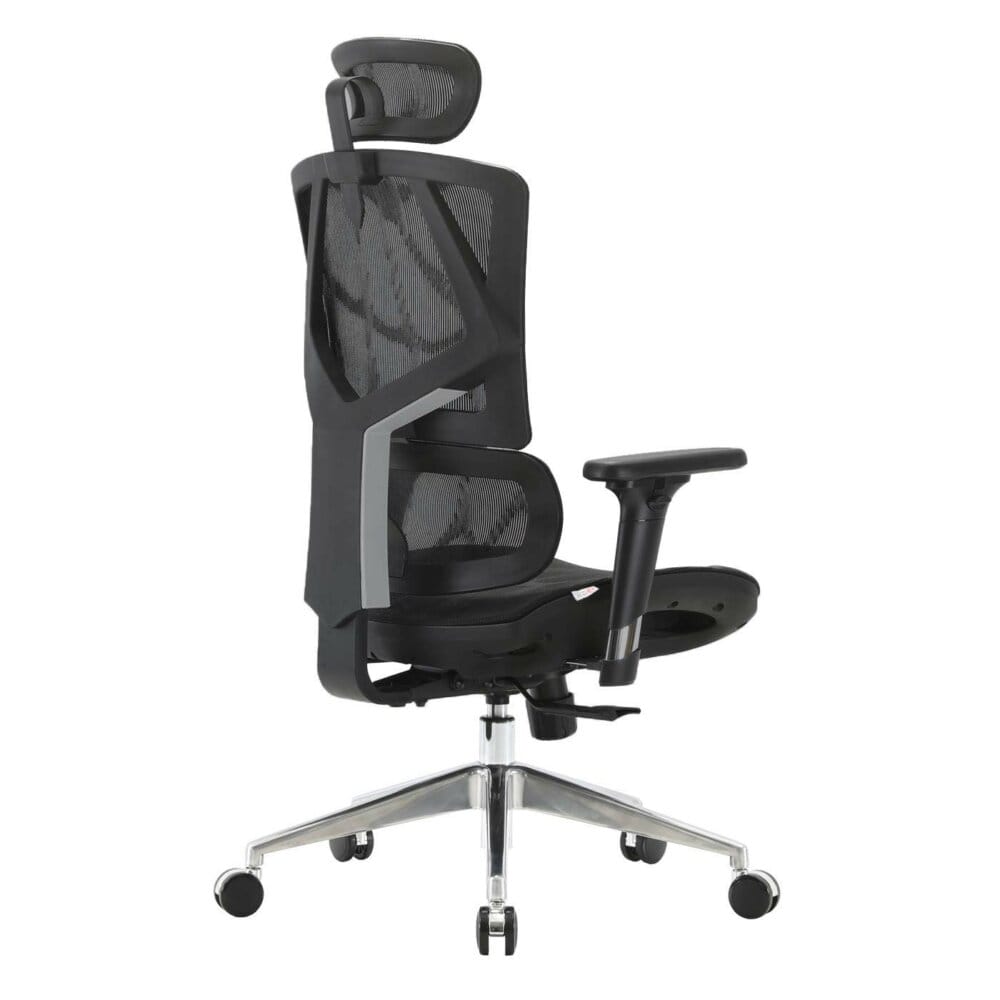 SIHOO Bürostuhl ergonomisch Lordosenstütze hohe Rückenlehne