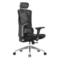 SIHOO Bürostuhl ergonomisch Lordosenstütze hohe Rückenlehne