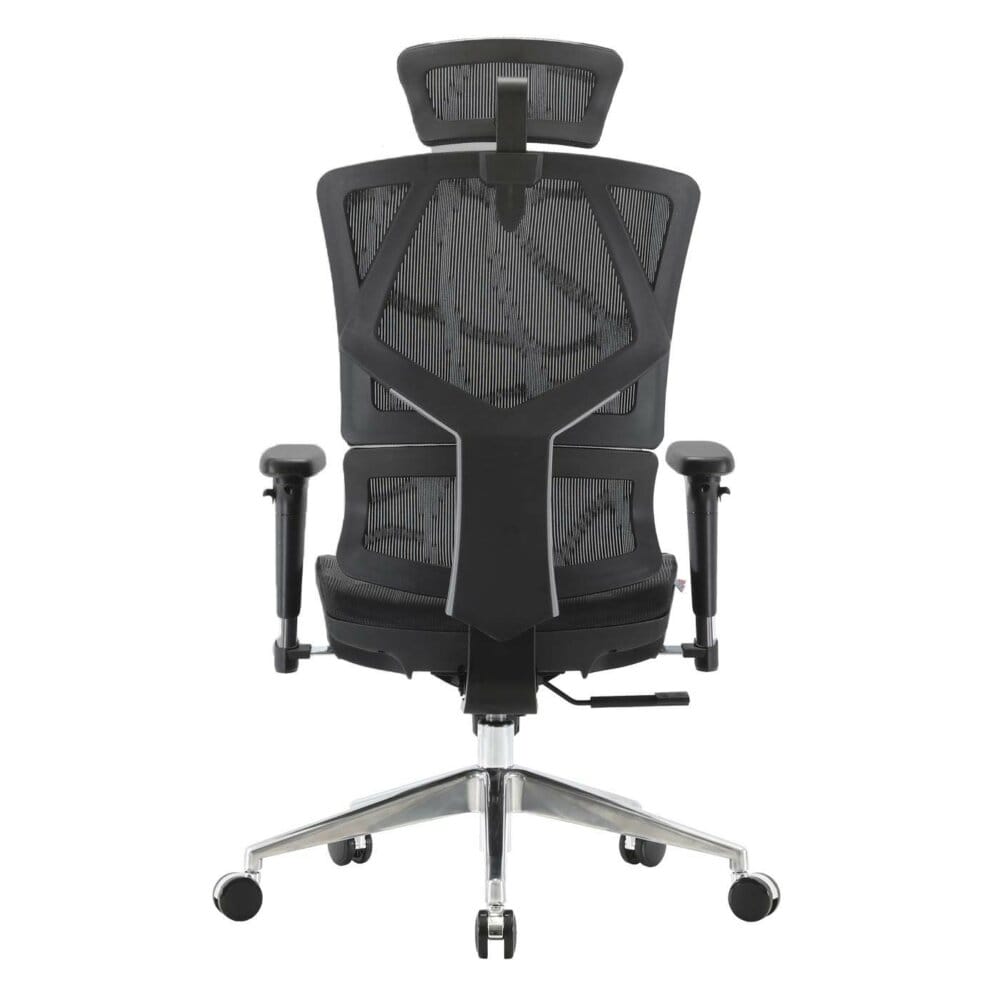 SIHOO Bürostuhl ergonomisch Lordosenstütze hohe Rückenlehne