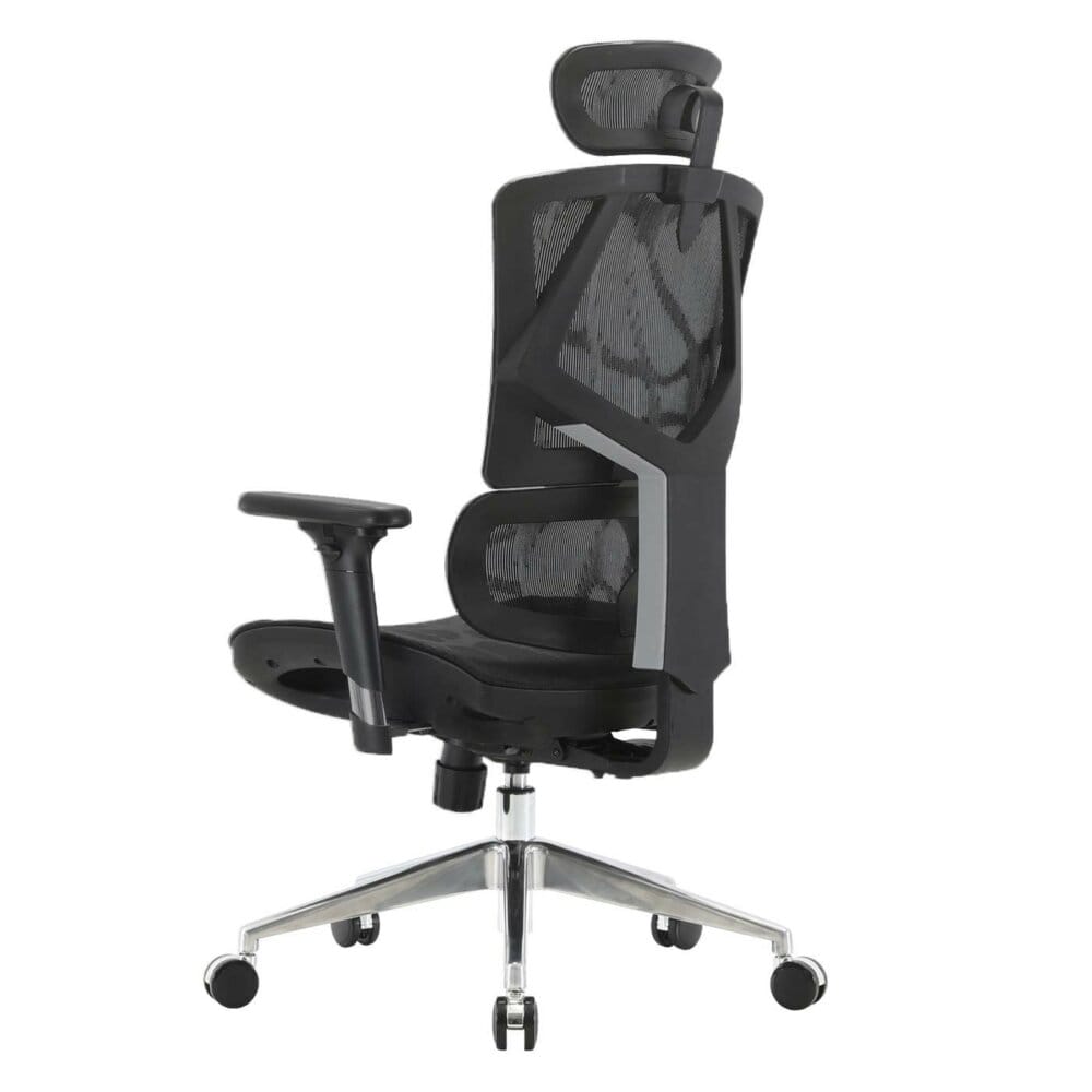 SIHOO Bürostuhl ergonomisch Lordosenstütze hohe Rückenlehne
