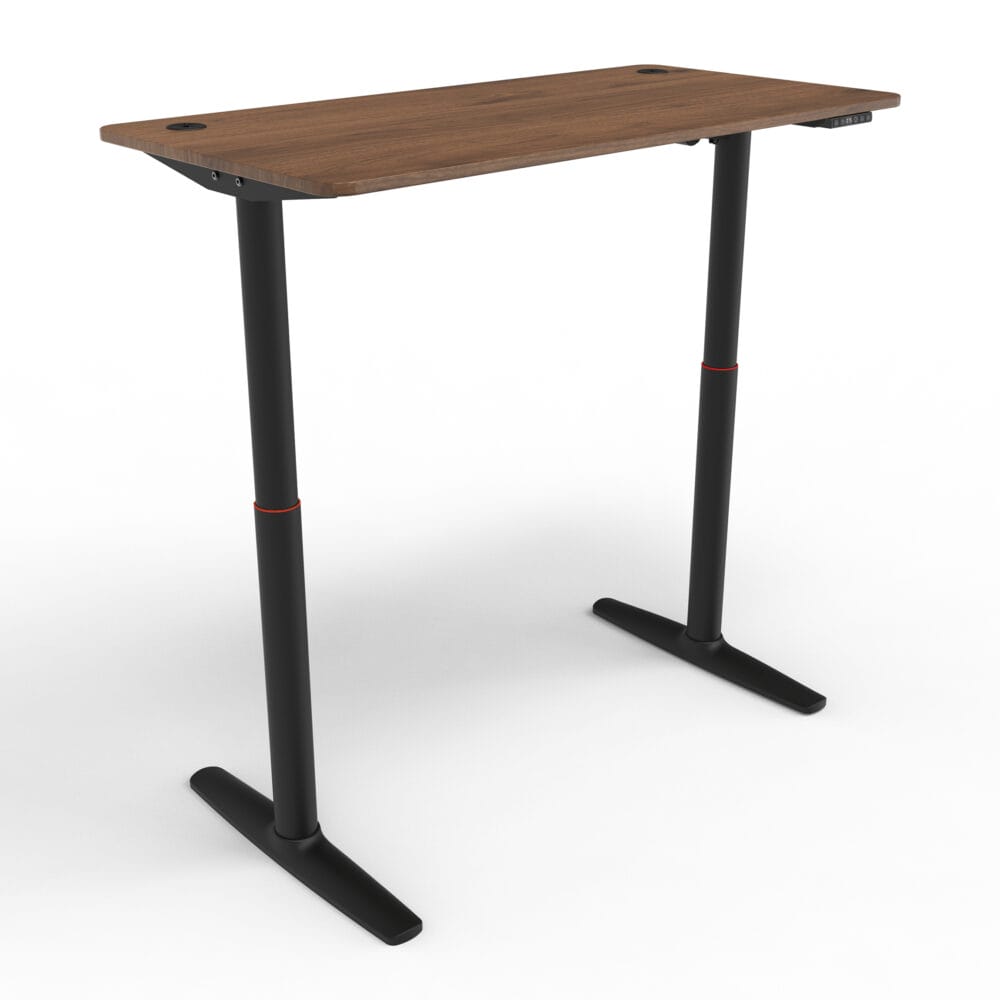 Stehpult Elektrisch Höhenverstellbarer Tisch Arogno 120x60cm