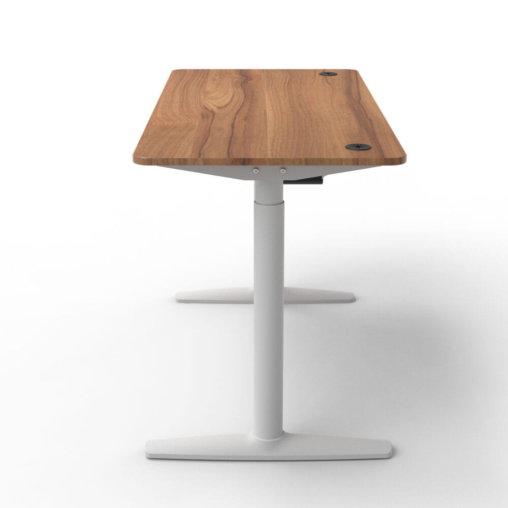 Stehpult Elektrisch Höhenverstellbarer Tisch Arogno 120x60cm