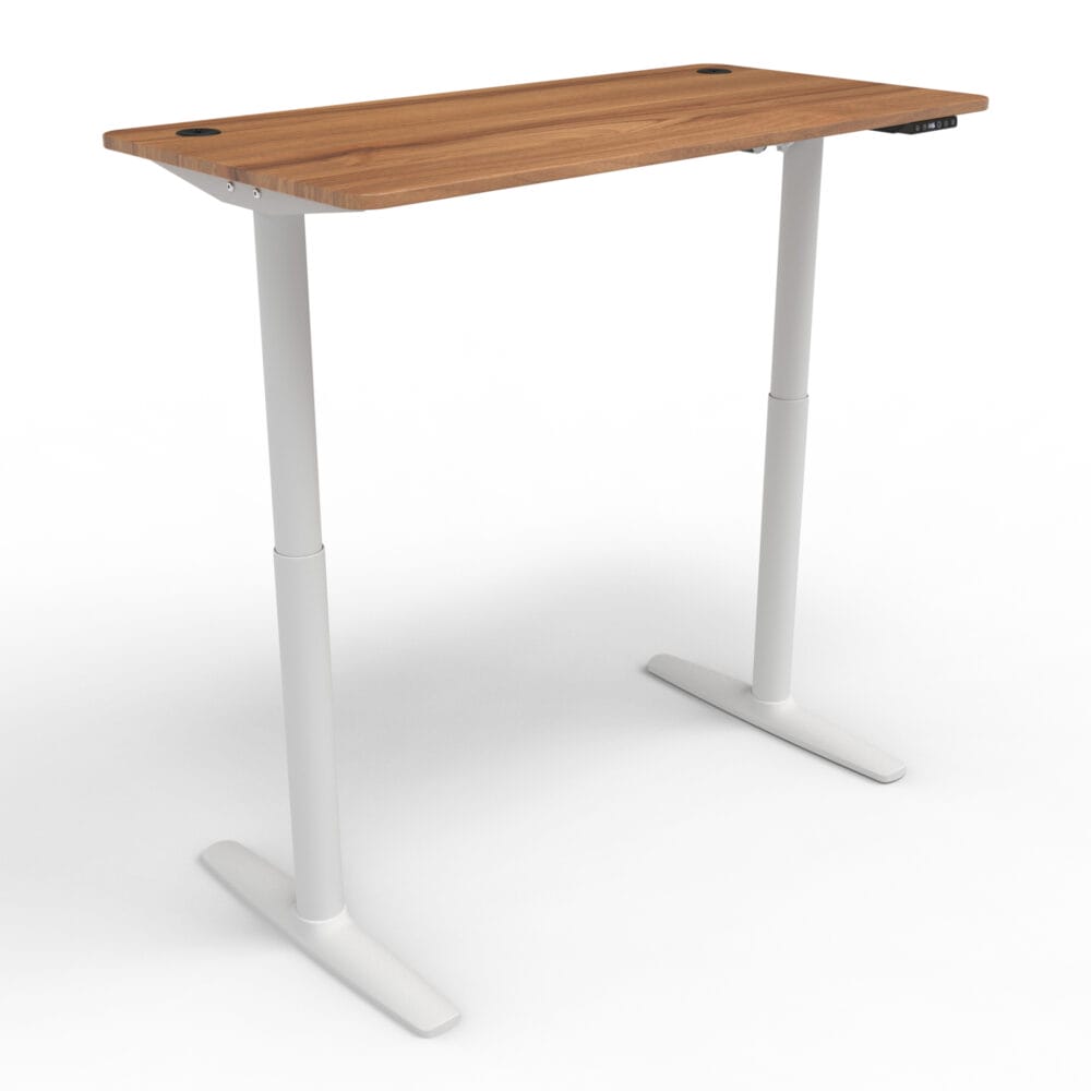 Stehpult Elektrisch Höhenverstellbarer Tisch Arogno 120x60cm