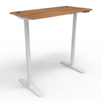 Stehpult Elektrisch Höhenverstellbarer Tisch Arogno 120x60cm