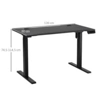 Stehpult Elektrischer Schreibtisch 120x60x114cm