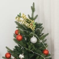 Weihnachtsbaum 1.2m 657 Zweige Ø85x120Hcm