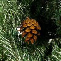 Weihnachtsbaum 180cm mit Schnee + Tannenzapfen + Ständer