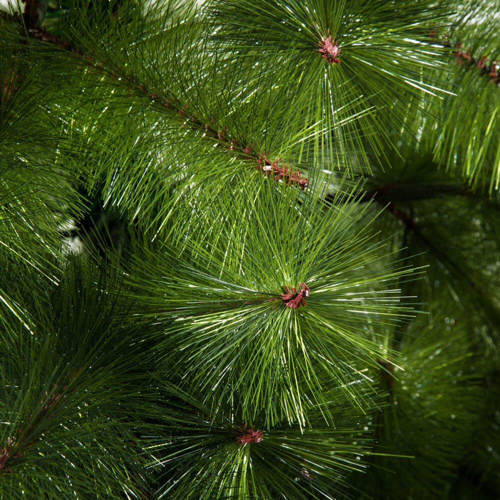 Weihnachtsbaum 2.1m 505 Äste mit Metallständer