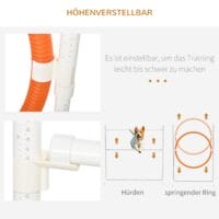 Blaues 7-teiliges Agility-Set, höhenverstellbar, bietet umfangreiche Trainingsmöglichkeiten für das Hundetraining.