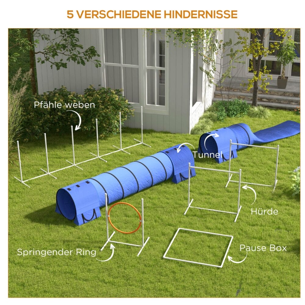 Blaues 7-teiliges Agility-Set, höhenverstellbar, bietet umfangreiche Trainingsmöglichkeiten für das Hundetraining.