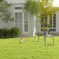 Oranges 4-teiliges Agility-Set, höhenverstellbar, perfekt für individuelles Hundetraining und Verbesserung der Agilität.