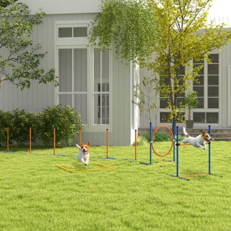 Oranges 4-teiliges Agility-Set, höhenverstellbar, perfekt für individuelles Hundetraining und Verbesserung der Agilität.