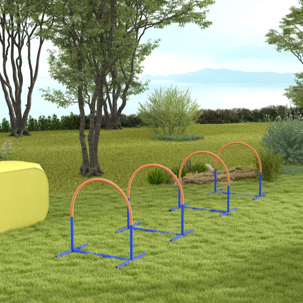 Blau-oranges 4-teiliges Agility Trainingsset mit Tragetasche, ideal für abwechslungsreiches Hundetraining und den Transport.
