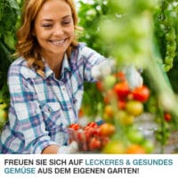 Wetterfestes Foliengewächshaus (300x200x400cm), stabil für Gemüse und Blumen.