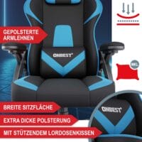 Gaming Stuhl, ergonomisch, 150kg belastbar, inklusive Nackenkissen und Lordosenkissen.
