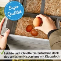 Wetterfester Hühnerstall mit integrierten Legenestern und Sitzstangen.