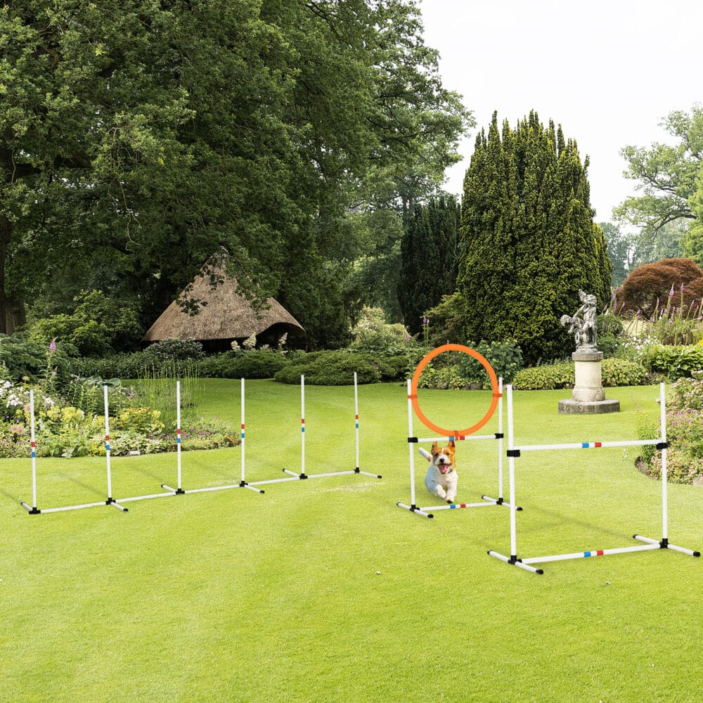Weiss-gelbes 3-teiliges Hunde Agility Set mit Tragetasche, perfekt für mobiles Training und Spass mit Ihrem Hund.