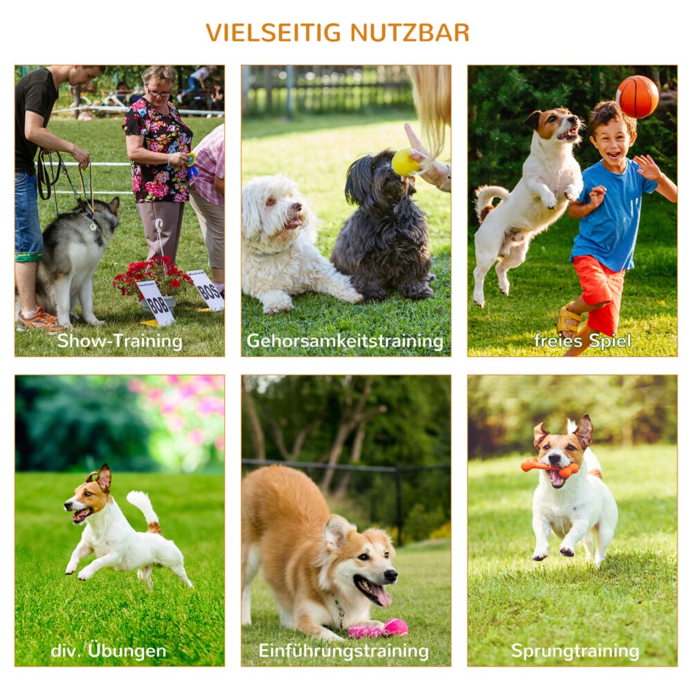 Weiss-gelbes 3-teiliges Hunde Agility Set mit Tragetasche, perfekt für mobiles Training und Spass mit Ihrem Hund.