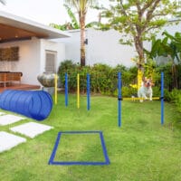 Blaues Hunde Agility Set mit Tunnel und Hürden, ideal für Spass und Training im Garten, fördert Fitness und Koordination.